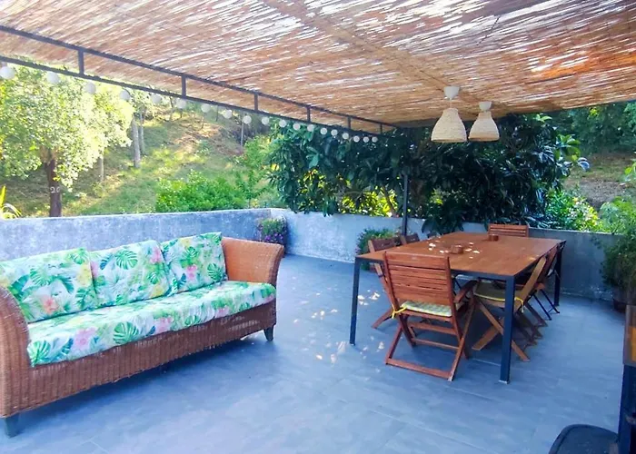 Purpaixao Terra Alta